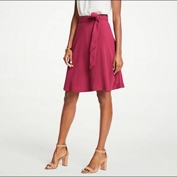 Ann Taylor Dresses & Skirts - Ann Taylor Raspberry A-Line Skater Skirt